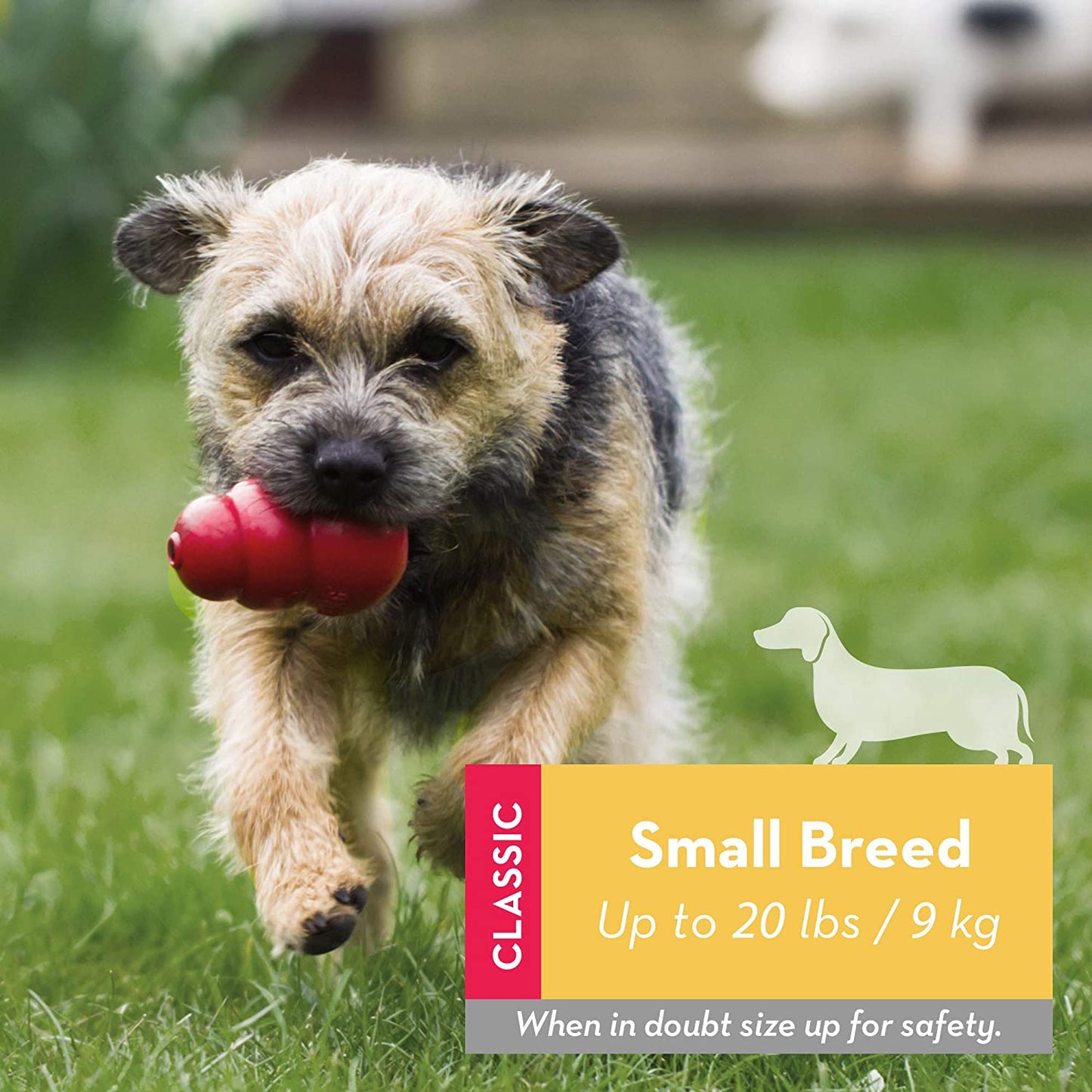 KONG Classic juguete resistente de caucho natural para perros, ideal para masticar, jugar y rellenar con snacks, disponible en Gabo y Gordo E Shop.