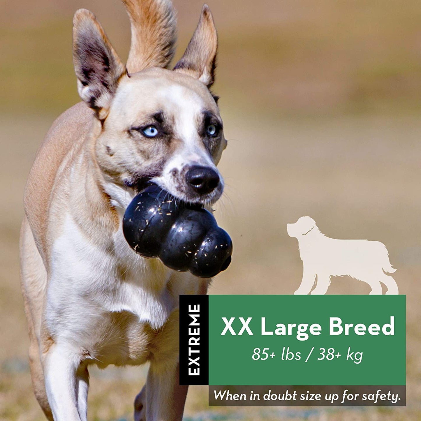 Juguete KONG Extreme negro para perros masticadores potentes en Gran Canaria y Canarias, disponible en Gabo y Gordo E Shop