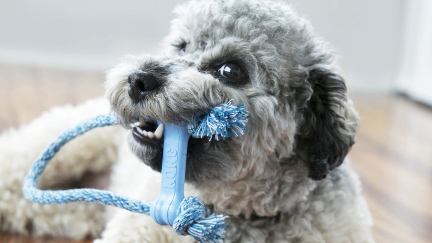KONG PUPPY GOODIE BONE WITH ROPE XSMALL – Banana-Pet. Gabo y Gordo Pet Shop, tienda online en las Islas Canarias, España, tienda online para mascotas, perros, gatos, conejos, tortugas, animales, accesorios para mascotas en general.