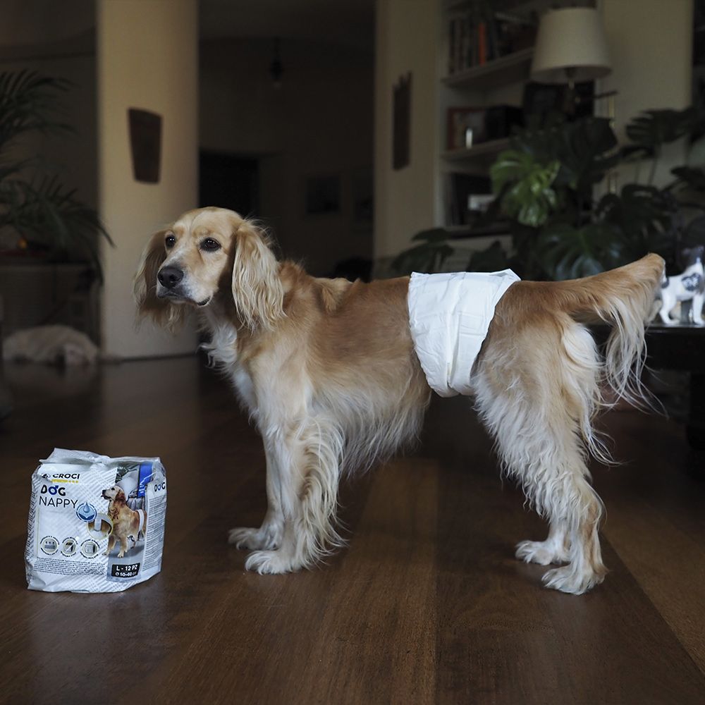Pañales para perro macho Nayeco – Pack 12 unidades – Tallas S a XL
