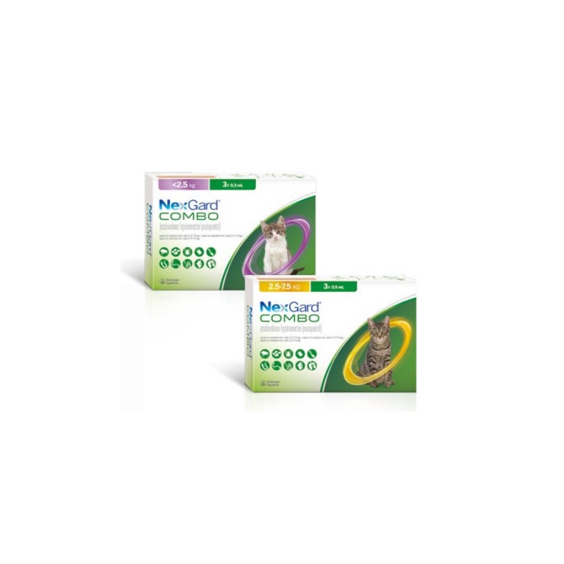 Nexgard Combo de 3 pipetas | Antiparasitario para gatos en Gabo&Gordo Pet Shop en Las Palmas de Gran Canaria tienda para mascotas, perros, gatos, conejos, tortugas, animales