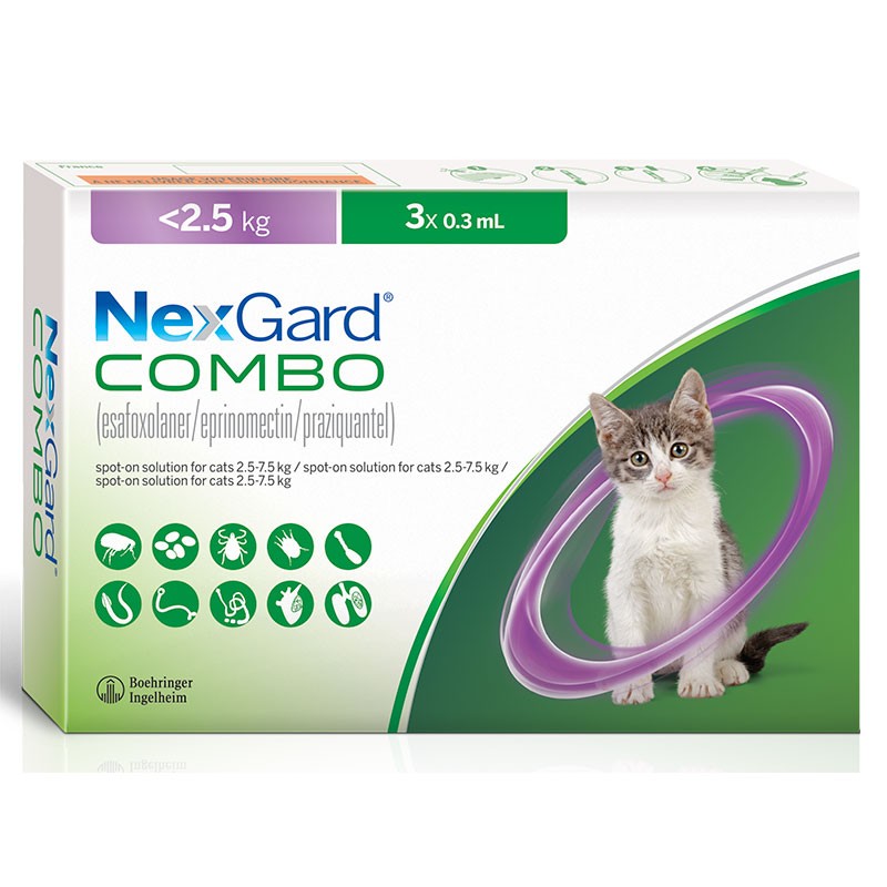 Nexgard Combo de 3 pipetas | Antiparasitario para gatos en Gabo&Gordo Pet Shop en Las Palmas de Gran Canaria tienda para mascotas, perros, gatos, conejos, tortugas, animales