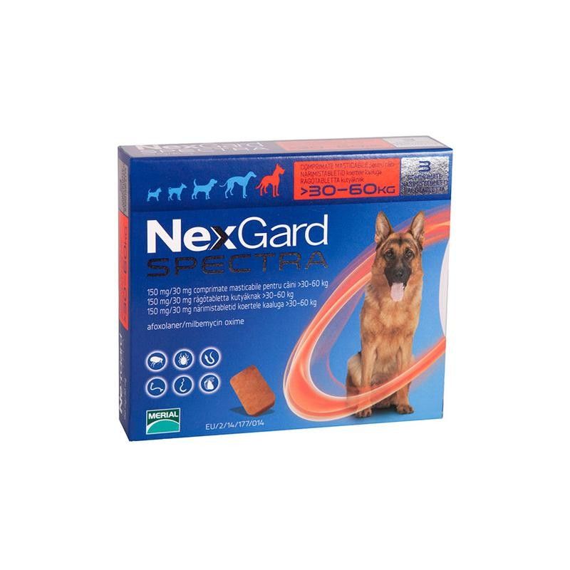 Nexgard spectra en Gabo&Gordo Pet Shop en Las Palmas de Gran Canaria tienda para mascotas, perros, gatos, conejos, tortugas, animales