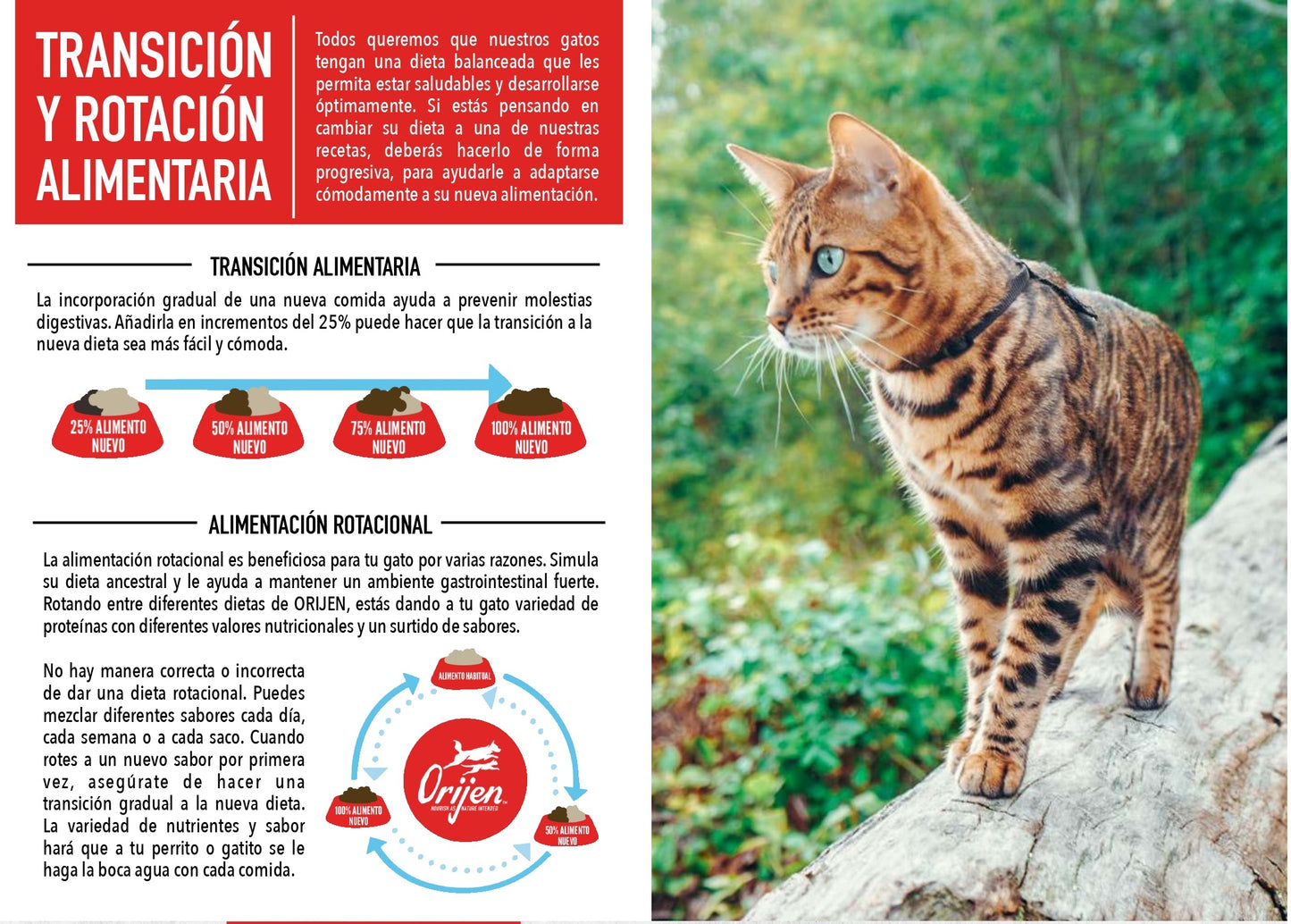 Pienso ORIJEN Original Cat natural sin cereales para gatos adultos