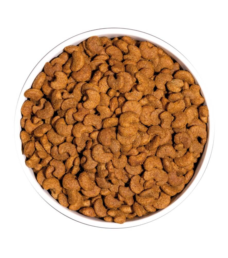 OWNAT Classic Hairball Cat – Pienso natural para gatos que elimina las bolas de pelo y cuida su digestión