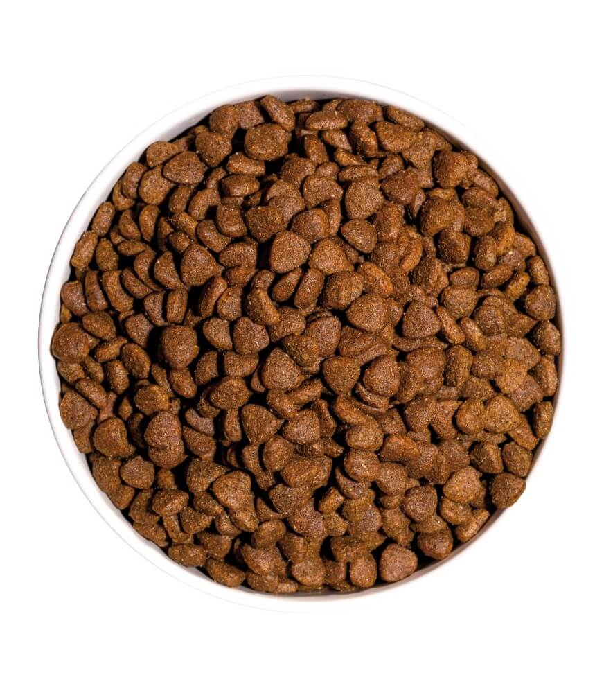 OWNAT Classic Kitten – Pienso natural para gatitos en crecimiento