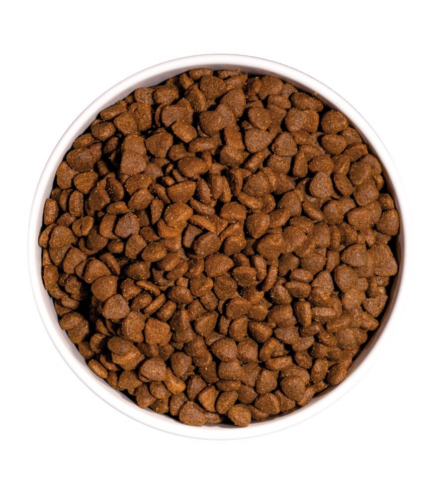 OWNAT Just Grain Free Adult Chicken – Pienso natural sin cereales para gatos adultos