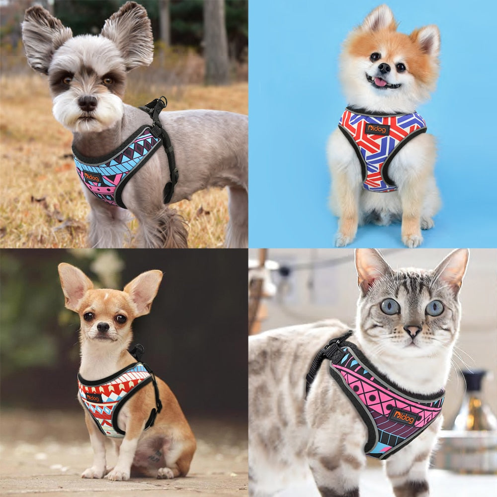 ÁRNES FASHION PRINTED REFLECTANTE PARA PERROS Y GATOS en Gabo&Gordo Pet Shop en Las Palmas de Gran Canaria tienda para mascotas, perros, gatos, conejos, tortugas, animales