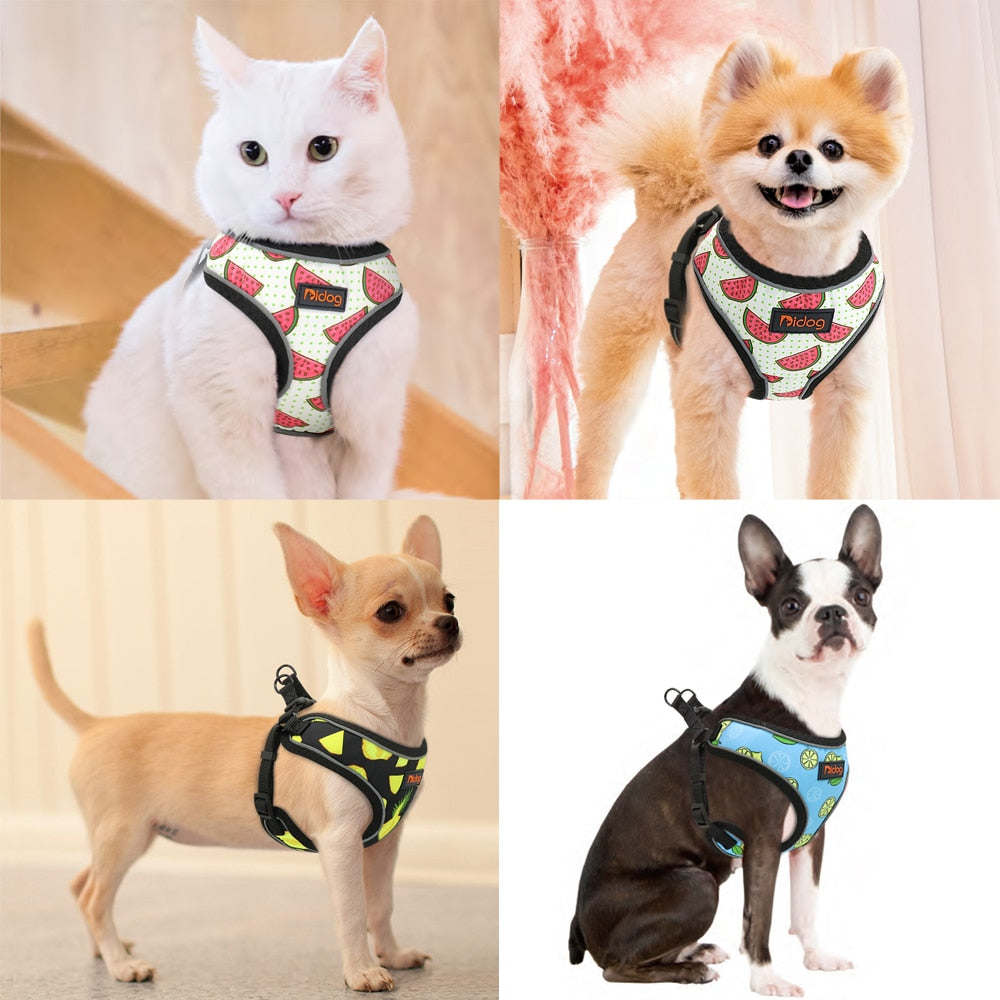 ÁRNES FASHION PRINTED REFLECTANTE PARA PERROS Y GATOS en Gabo&Gordo Pet Shop en Las Palmas de Gran Canaria tienda para mascotas, perros, gatos, conejos, tortugas, animales