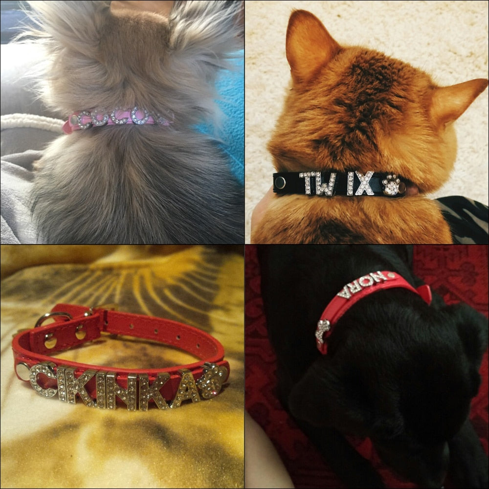 COLLAR DE DIAMANTES PERSONALIZADO perro gato Gabo&Gordo Pet Shop en Las Palmas de Gran Canaria tienda para mascotas, perros, gatos, conejos, tortugas, animales, accesorios para mascotas