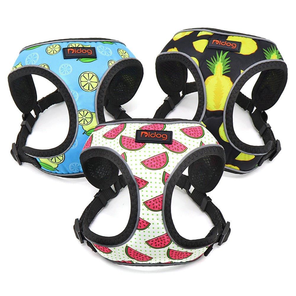 ÁRNES FASHION PRINTED REFLECTANTE PARA PERROS Y GATOS en Gabo&Gordo Pet Shop en Las Palmas de Gran Canaria tienda para mascotas, perros, gatos, conejos, tortugas, animales
