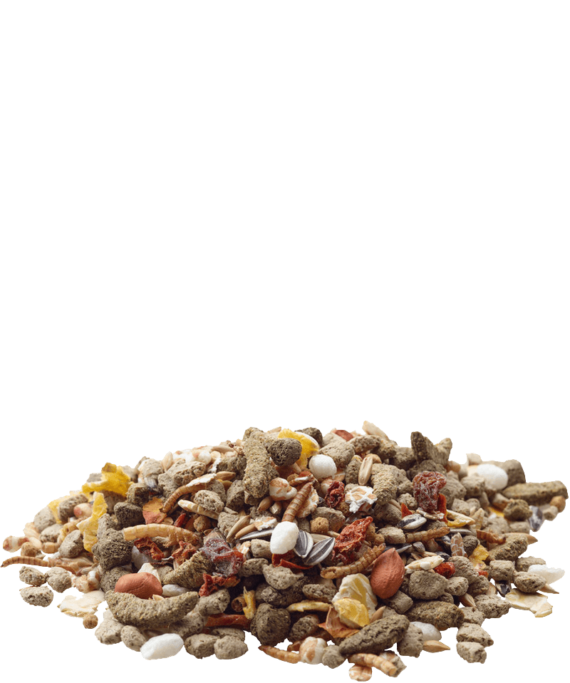 VERSELE LAGA RAT NATURE/ Alimento para ratas natural