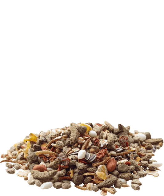 VERSELE LAGA RAT NATURE/ Alimento para ratas natural