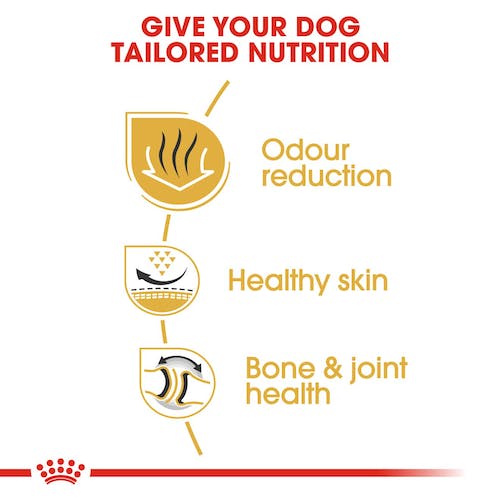 ROYAL CANIN Bulldog Adult pienso para perro Bulldog adulto nutrición específica para digestión piel y articulaciones