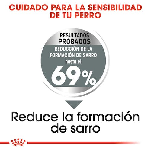 Royal Canin Dental Care pienso salud dental perros Gabo y Gordo E Shop