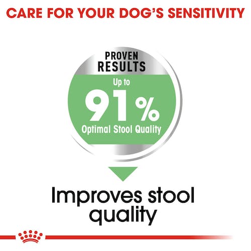 Royal Canin Digestive Care pienso perros digestión sensible Gabo y Gordo E Shop