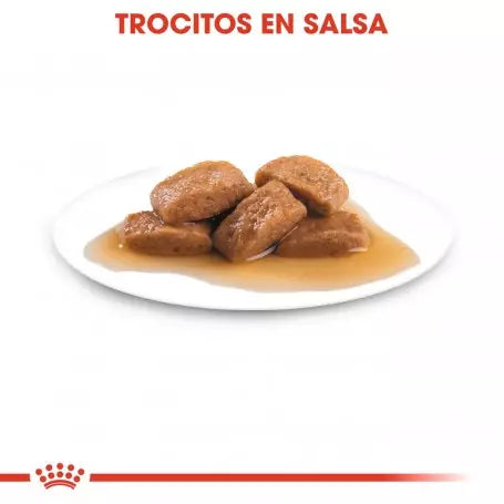 ROYAL CANIN Maxi Adult en salsa – comida húmeda para perros grandes adultos