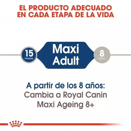 ROYAL CANIN Maxi Adult en salsa – comida húmeda para perros grandes adultos