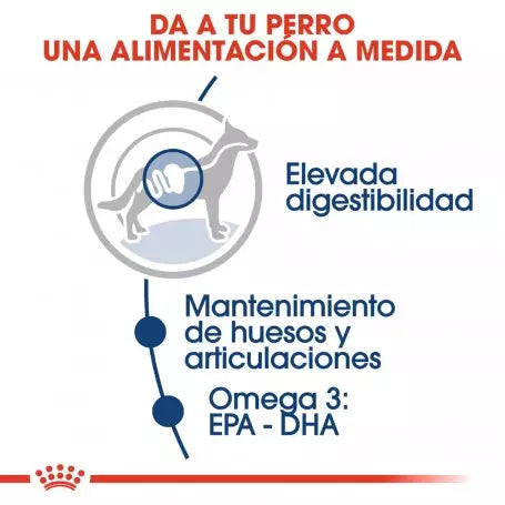 ROYAL CANIN Maxi Adult en salsa – comida húmeda para perros grandes adultos