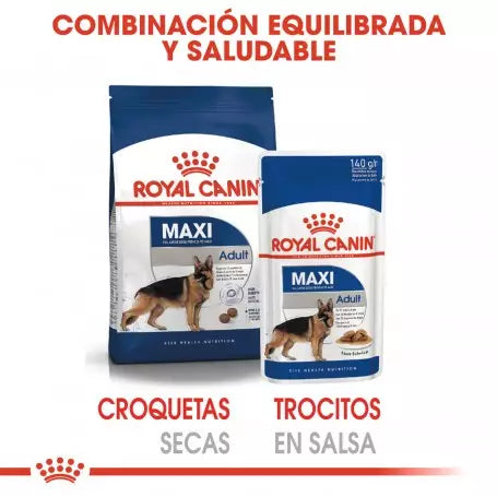 ROYAL CANIN Maxi Adult en salsa – comida húmeda para perros grandes adultos