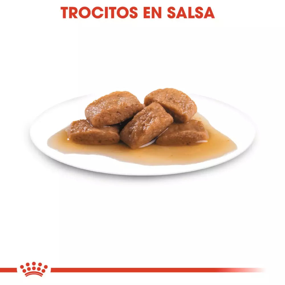 ROYAL CANIN Maxi Ageing 8+ en salsa para perros grandes sénior – 10x140g