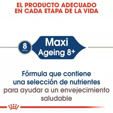ROYAL CANIN Maxi Ageing 8+ en salsa para perros grandes sénior – 10x140g