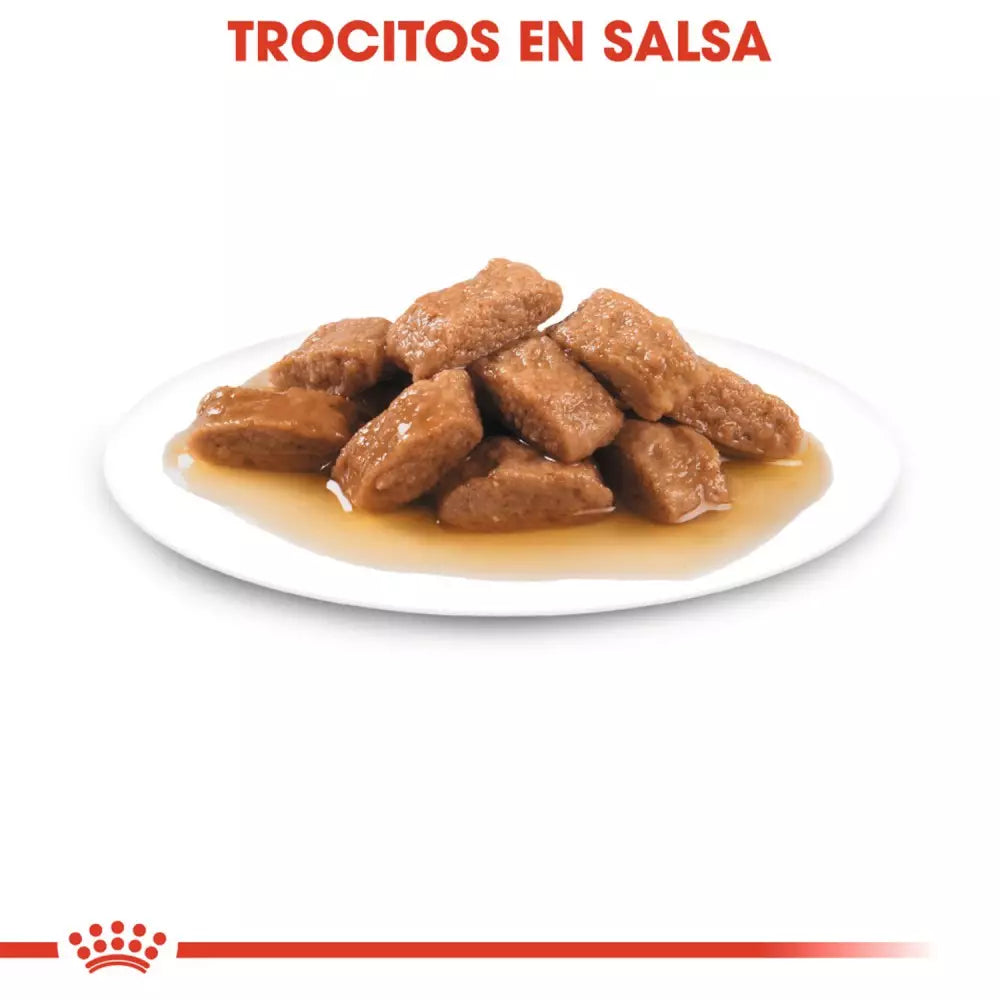 Pack Royal Canin Medium Ageing 10+ 10x140g para perros medianos sénior