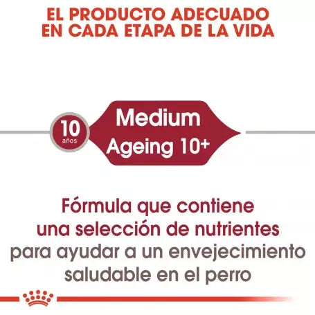 Pack Royal Canin Medium Ageing 10+ 10x140g para perros medianos sénior