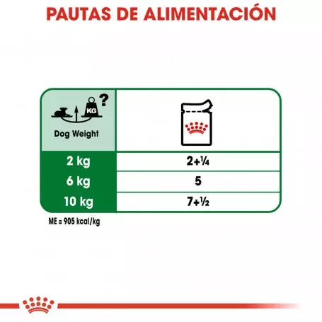 Pack de 12 sobres Royal Canin Mini Ageing 12+ para perros mayores