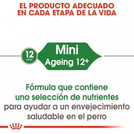 Pack de 12 sobres Royal Canin Mini Ageing 12+ para perros mayores