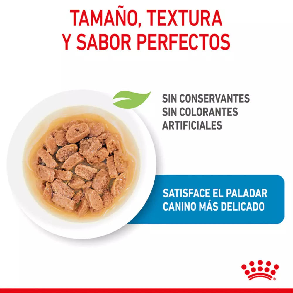 ROYAL CANIN MINI PUPPY POUCH 85 g x 12 UNIDADES Gabo y Gordo E Shop, la mejor tienda online en las Islas Canarias, España, tienda online para mascotas, perros, gatos, conejos, tortugas, animales, accesorios para mascotas en general. 
Gabo y Gordo E Shop in Canary Islands, the best store for pets, dogs, cats, rabbits, turtles, animals, pet accessories.
