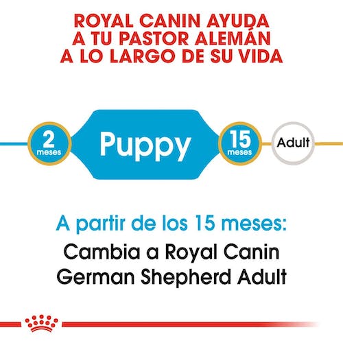 Royal Canin Pastor Alemán Puppy pienso cachorro raza grande en Gran Canaria Gabo y Gordo E Shop