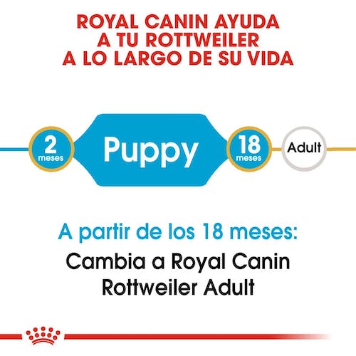 Royal Canin Rottweiler Puppy 12 kg pienso cachorro raza grande en Gran Canaria Gabo y Gordo E Shop