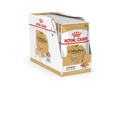 ROYAL CANIN RAZA CHIHUAHUA HÚMEDO 12 x 85 g Gabo y Gordo E Shop, la mejor tienda online en Gran Canaria, Islas Canarias, España, tienda online para mascotas, perros, gatos, conejos, tortugas, animales, accesorios para mascotas en general. 
Gabo y Gordo E Shop is the best online pet shop in Gran Canaria, Canary Islands, Spain.