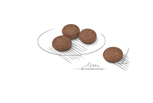 ROYAL CANIN Gama Digestive Care Mini, Medium, Maxi. Gabo y Gordo E Shop, la mejor tienda online en las Islas Canarias, España, tienda online para mascotas, perros, gatos, conejos, tortugas, animales, accesorios para mascotas en general. 
Gabo y Gordo E Shop in Canary Islands, the best store for pets, dogs, cats, rabbits, turtles, animals, pet accessories.