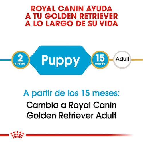 ROYAL CANIN  GOLDEN RETRIEVER PUPPY 12 kg Gabo y Gordo E Shop, la mejor tienda online en Gran Canaria, Islas Canarias, España, tienda online para mascotas, perros, gatos, conejos, tortugas, animales, accesorios para mascotas en general. 
Gabo y Gordo E Shop is the best online pet shop in Gran Canaria, Canary Islands, Spain.