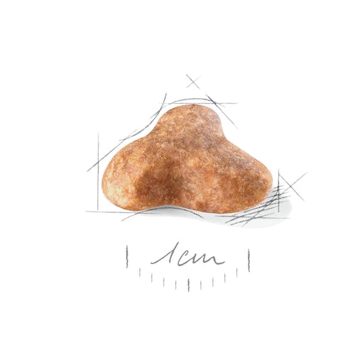 ROYAL CANIN PUG ADULT Gabo y Gordo E Shop, la mejor tienda online en Gran Canaria, Islas Canarias, España, tienda online para mascotas, perros, gatos, conejos, tortugas, animales, accesorios para mascotas en general. 
Gabo y Gordo E Shop is the best online pet shop in Gran Canaria, Canary Islands, Spain.