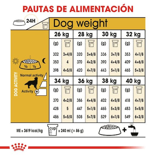 ROYAL CANIN GOLDEN RETRIEVER ADULTO 12 kg Gabo y Gordo E Shop, la mejor tienda online en Gran Canaria, Islas Canarias, España, tienda online para mascotas, perros, gatos, conejos, tortugas, animales, accesorios para mascotas en general. 
Gabo y Gordo E Shop is the best online pet shop in Gran Canaria, Canary Islands, Spain.