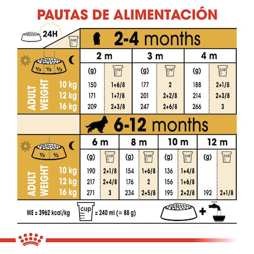 ROYAL CANIN COCKER PUPPY 3 kg Gabo y Gordo E Shop, la mejor tienda online en Gran Canaria, Islas Canarias, España, tienda online para mascotas, perros, gatos, conejos, tortugas, animales, accesorios para mascotas en general.
Gabo y Gordo E Shop is the best online pet shop in Gran Canaria, Canary Islands, Spain.