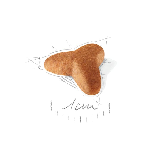 ROYAL CANIN PUG PUPPY 1,5 kg Gabo y Gordo E Shop, la mejor tienda online en Gran Canaria, Islas Canarias, España, tienda online para mascotas, perros, gatos, conejos, tortugas, animales, accesorios para mascotas en general. 
Gabo y Gordo E Shop is the best online pet shop in Gran Canaria, Canary Islands, Spain.