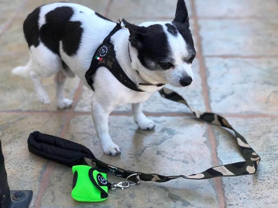 TRE PONTI Primo reflective harness Black for pets 