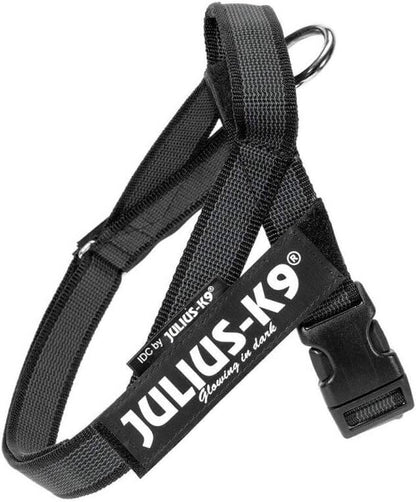 JULIUS K9 IDC Arnés Cinta Grey y Negro Para Perros Gabo&Gordo Pet Shop en Las Palmas de Gran Canaria tienda para mascotas, perros, gatos, conejos, tortugas, animales, accesorios para mascotas