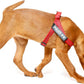 ULIUS K9 IDC Arnés Cinta Grey y Rojo Para Perros