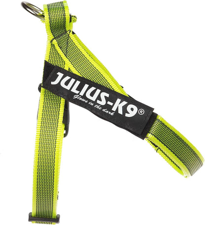 JULIUS K9 IDC Arnés Cinta Grey y Neón Para Perros Gabo&Gordo Pet Shop en Las Palmas de Gran Canaria tienda para mascotas, perros, gatos, conejos, tortugas, animales, accesorios para mascotas