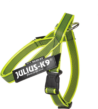 JULIUS K9 IDC Arnés Cinta Grey y Neón Para Perros Gabo&Gordo Pet Shop en Las Palmas de Gran Canaria tienda para mascotas, perros, gatos, conejos, tortugas, animales, accesorios para mascotas