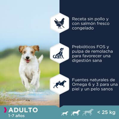 Eukanuba Pienso Para Perros Adultos Tamaño Peq/Med Grain Free De Pescado Azul en Gabo&Gordo Pet Shop en Las Palmas de Gran Canaria tienda para mascotas, perros, gatos, conejos, tortugas, animales, accesorios para mascotas