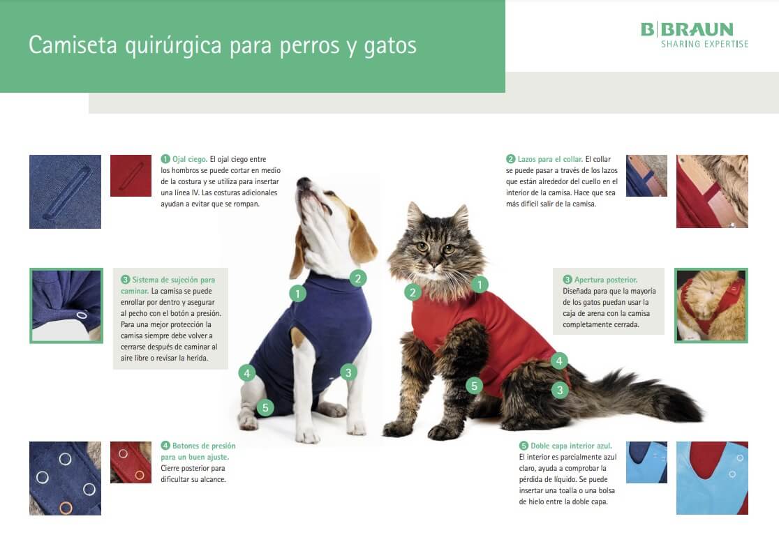 Camiseta quirúrgica Braun para la recuperación de perros y gatos.  Gabo y Gordo Pet Shop en Las Palmas de Gran Canaria tienda para mascotas, perros, gatos, conejos, tortugas, animales, accesorios para mascotas.