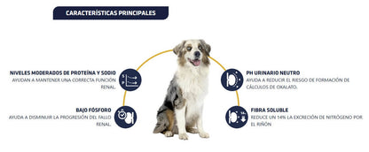 ADVANCE Vet Renal, pienso para perros con enfermedad renal crónica. Bajo en fósforo y proteínas de alta calidad. Envío gratis desde 30 € en Gran Canaria. Disponible en Canarias y España.

