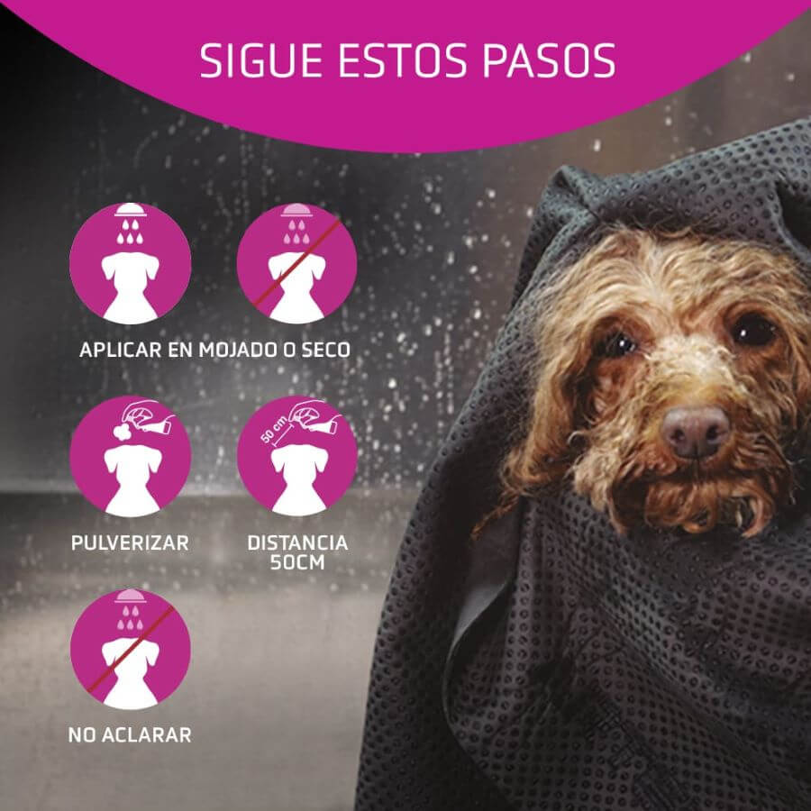 Artero Acondicionador Flash 300 ml.  Gabo y Gordo E Shop, la mejor tienda online en las Islas Canarias, España, tienda online para mascotas, perros, gatos, conejos, tortugas, animales, accesorios para mascotas en general. 
Gabo y Gordo E Shop in Canary Islands, the best store for pets, dogs, cats, rabbits, turtles, animals, pet accessories.