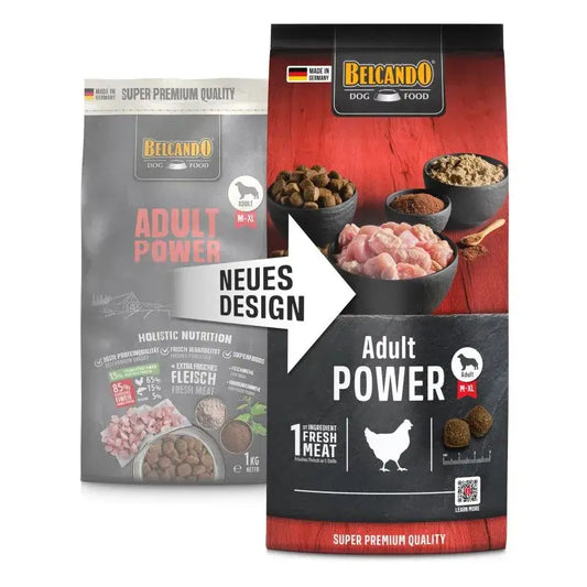 BELCANDO Adult Power | Pienso para perros y perras de cría activos Gabo&Gordo Pet Shop en Las Palmas de Gran Canaria tienda para mascotas, perros, gatos, conejos, tortugas, animales, accesorios para mascotas